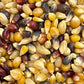 Everly Grace Pumpkin Time Popcornkörner online bei Madevegan kaufen – feiner Gourmet-Popcornmais für herbstliche Popcornkreationen & knusprigen Genuss!