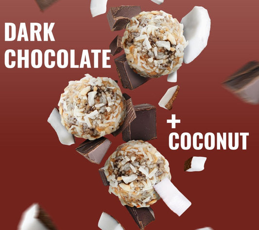 Dark Chocolate Coconut Bites – veganer Protein-Snack mit Kokos & Schokolade. Glutenfrei & non-GMO. Jetzt probieren bei Madevegan.
