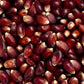 Knuspriger Gourmet-Popcornmais für festliche Kreationen. Everly Grace Christmas Crunch bei Madevegan online kaufen & köstliche Popcornmomente genießen!