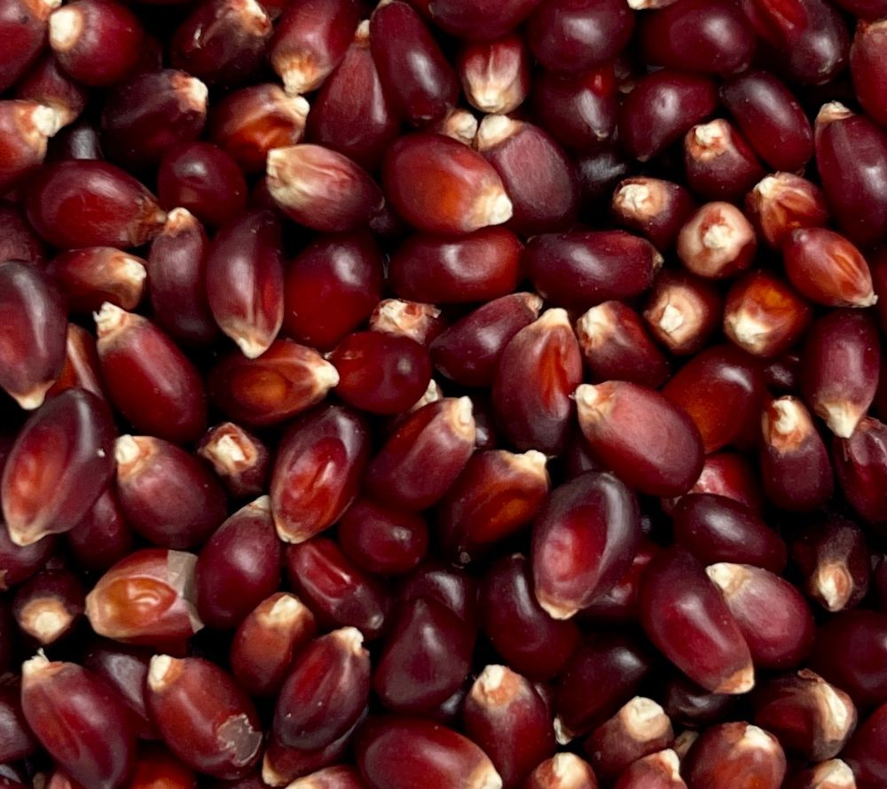 Knuspriger Gourmet-Popcornmais für festliche Kreationen. Everly Grace Christmas Crunch bei Madevegan online kaufen & köstliche Popcornmomente genießen!