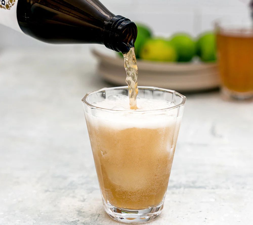 Organic Kombucha von Biona